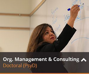 Learn more about org. management and consulting here.