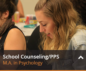 Learn more about school counseling/pps here.